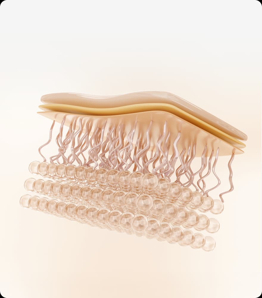 트리클 카드 배경