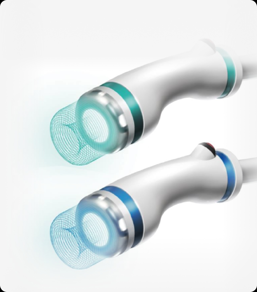 트리클 카드 배경