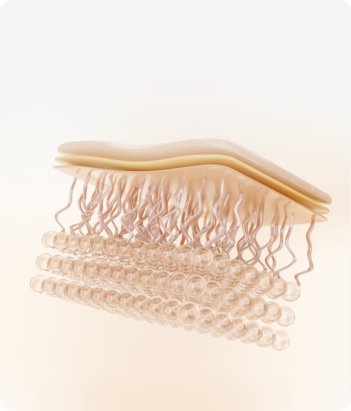 트리클 카드 배경